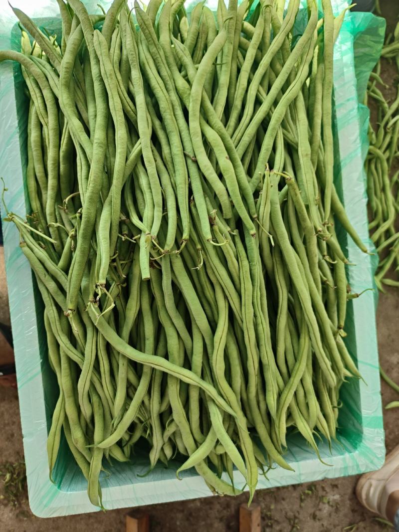 豆子