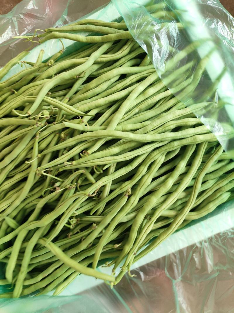 豆子