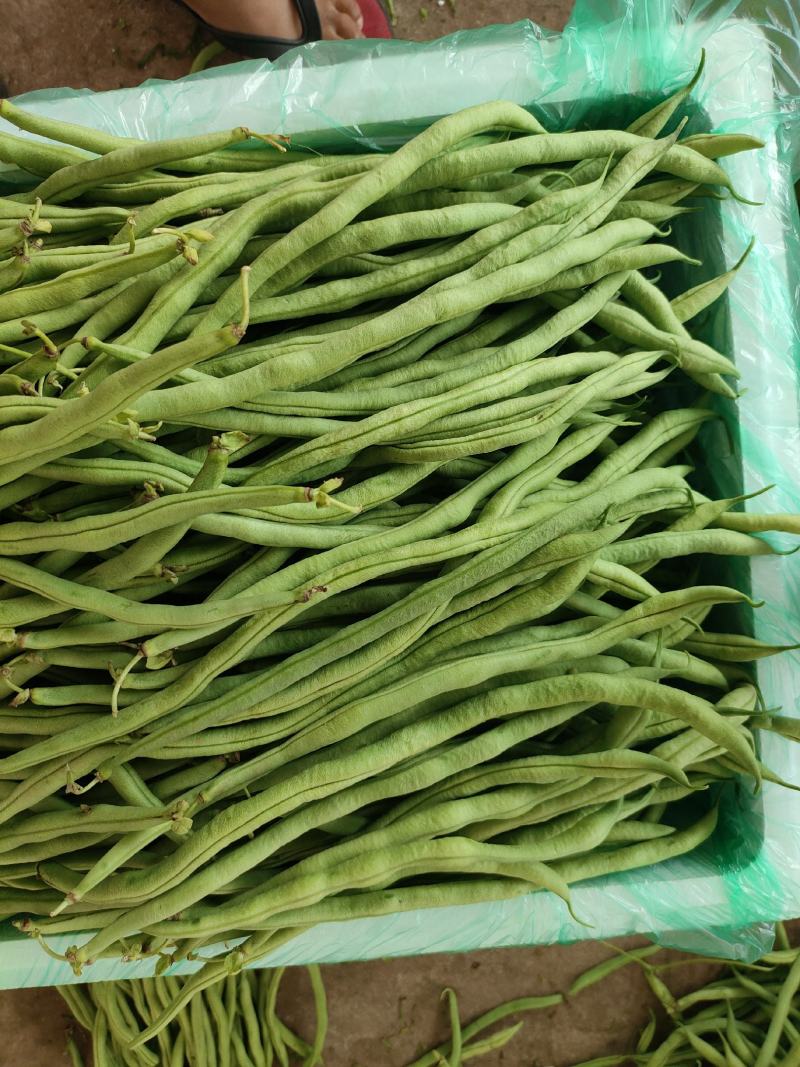 豆子