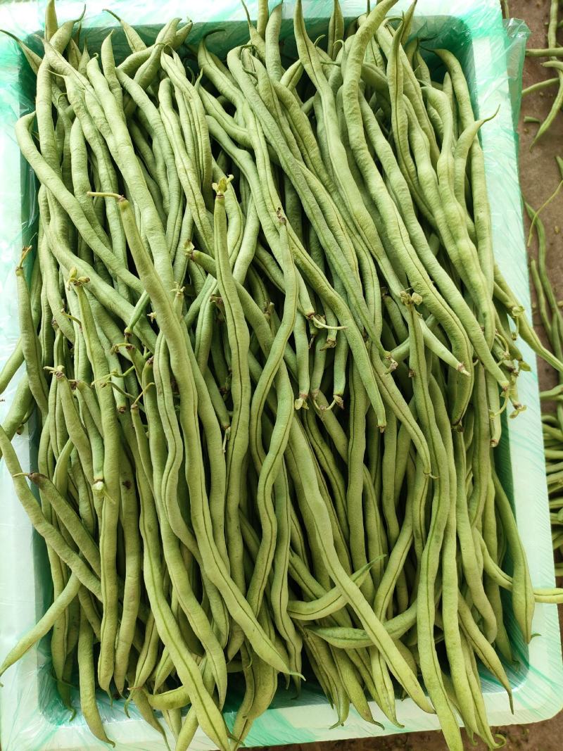 豆子