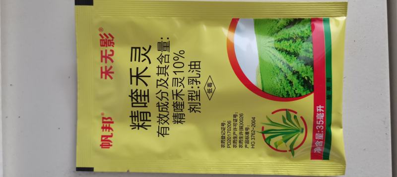 帆邦禾无影10%精喹禾灵大豆田苗后一年生禾本科杂草尖叶草