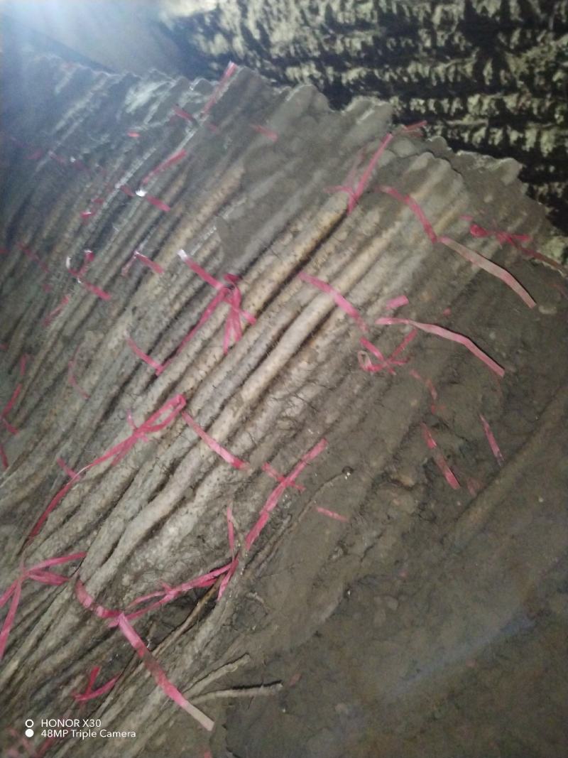 铁棍山药代办出售，各路货规格齐全，质量好，价格真实合理