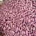 红薯紫薯，万亩种植基地产地直销，品质好，保质保量！