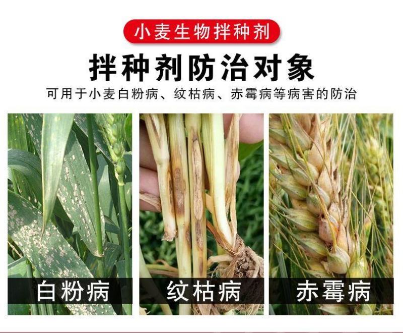 【小麦专用拌种剂】小麦包衣拌种剂苯醚咯噻虫防虫防病种衣剂
