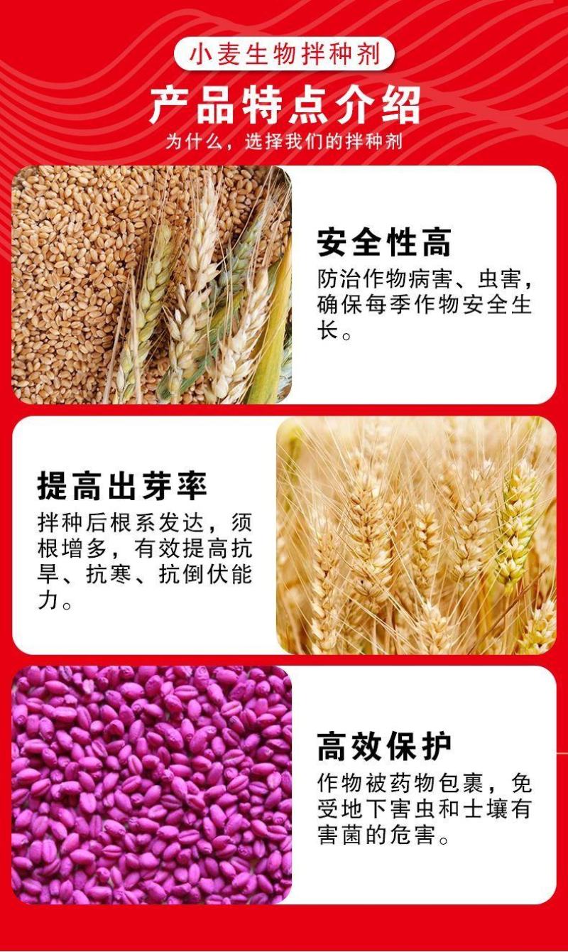 【小麦专用拌种剂】小麦包衣拌种剂苯醚咯噻虫防虫防病种衣剂