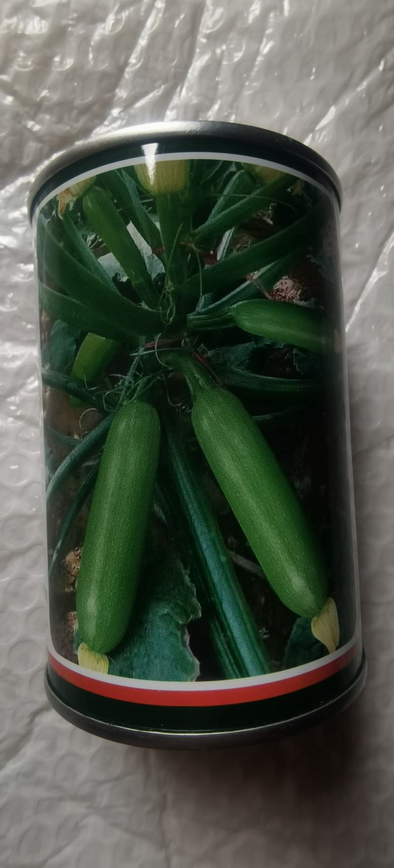 绿皮西葫芦种子鲁秀翠绿色抗病毒抗白粉早春秋延越冬