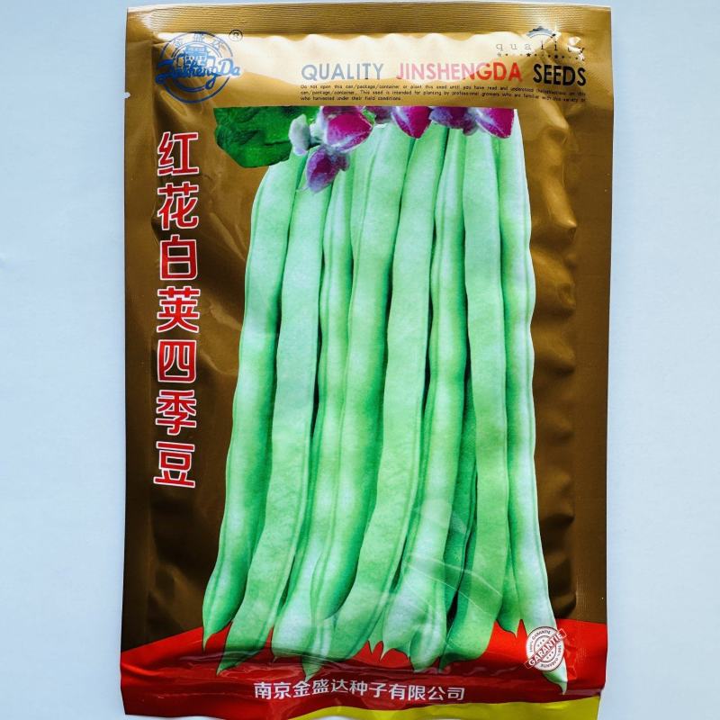 春秋架豆种子红花白荚四季豆种子早熟肉厚品质好纤维少