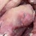 牛头肉熟牛肉江苏产家货，规格多样，欢迎电联采购