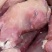牛头肉熟牛肉江苏产家货，规格多样，欢迎电联采购