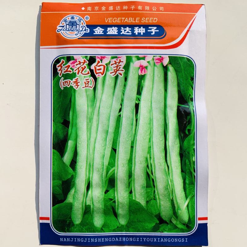春秋架豆种子红花白荚四季豆种子早熟肉厚品质好纤维少