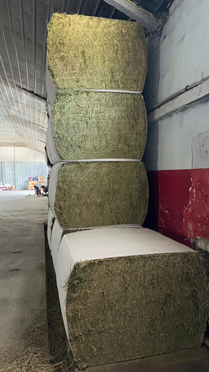 哈萨克斯坦进口苜蓿草高蛋白高品质