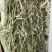 哈萨克斯坦进口苜蓿草高蛋白高品质