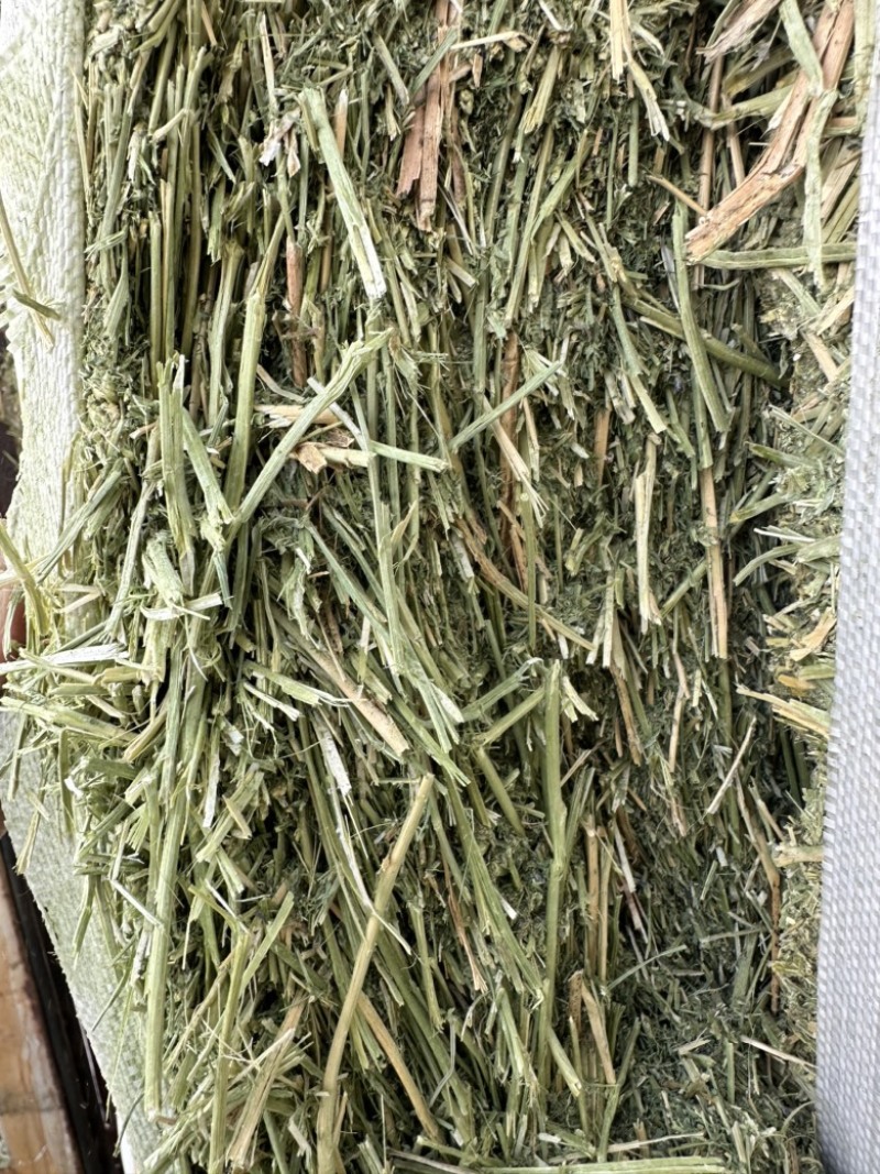 哈萨克斯坦进口苜蓿草高蛋白高品质