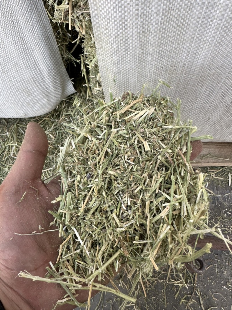 哈萨克斯坦进口苜蓿草高蛋白高品质