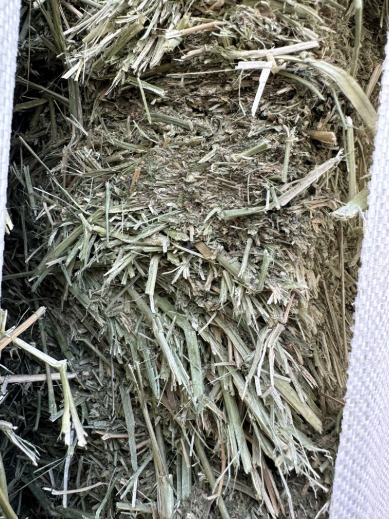 哈萨克斯坦进口苜蓿草高蛋白高品质
