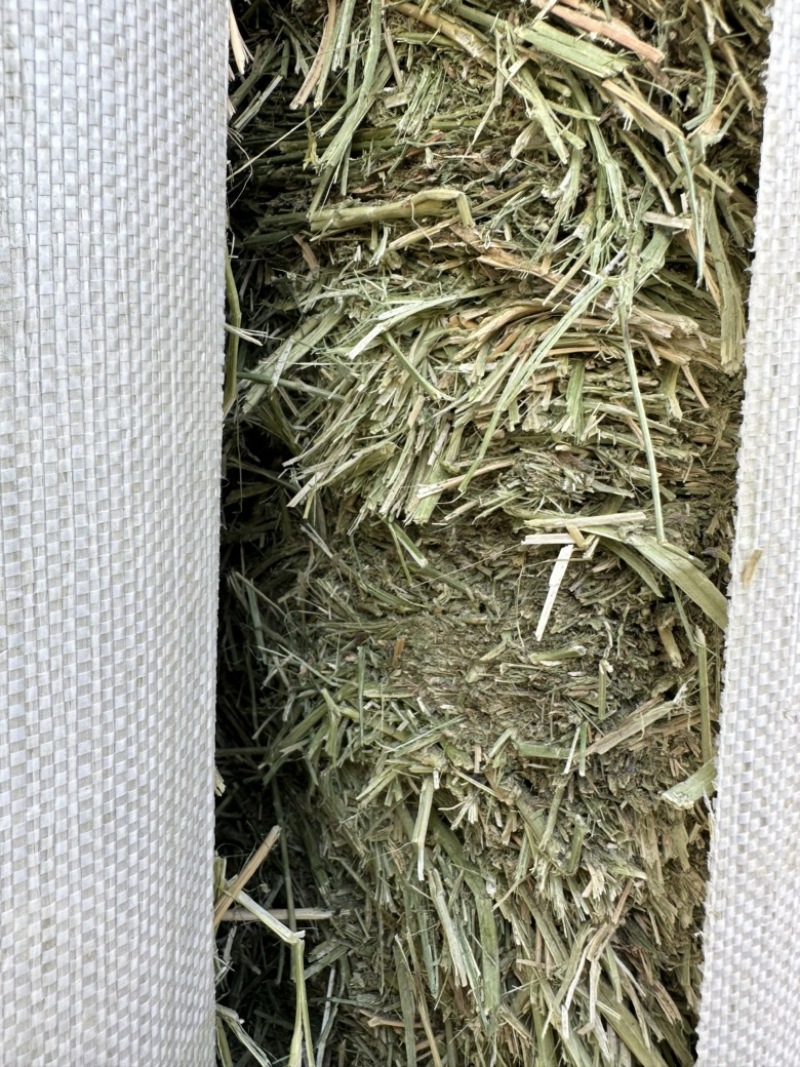 哈萨克斯坦进口苜蓿草高蛋白高品质