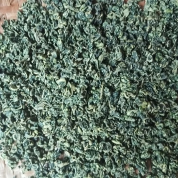 茶叶高山茶叶