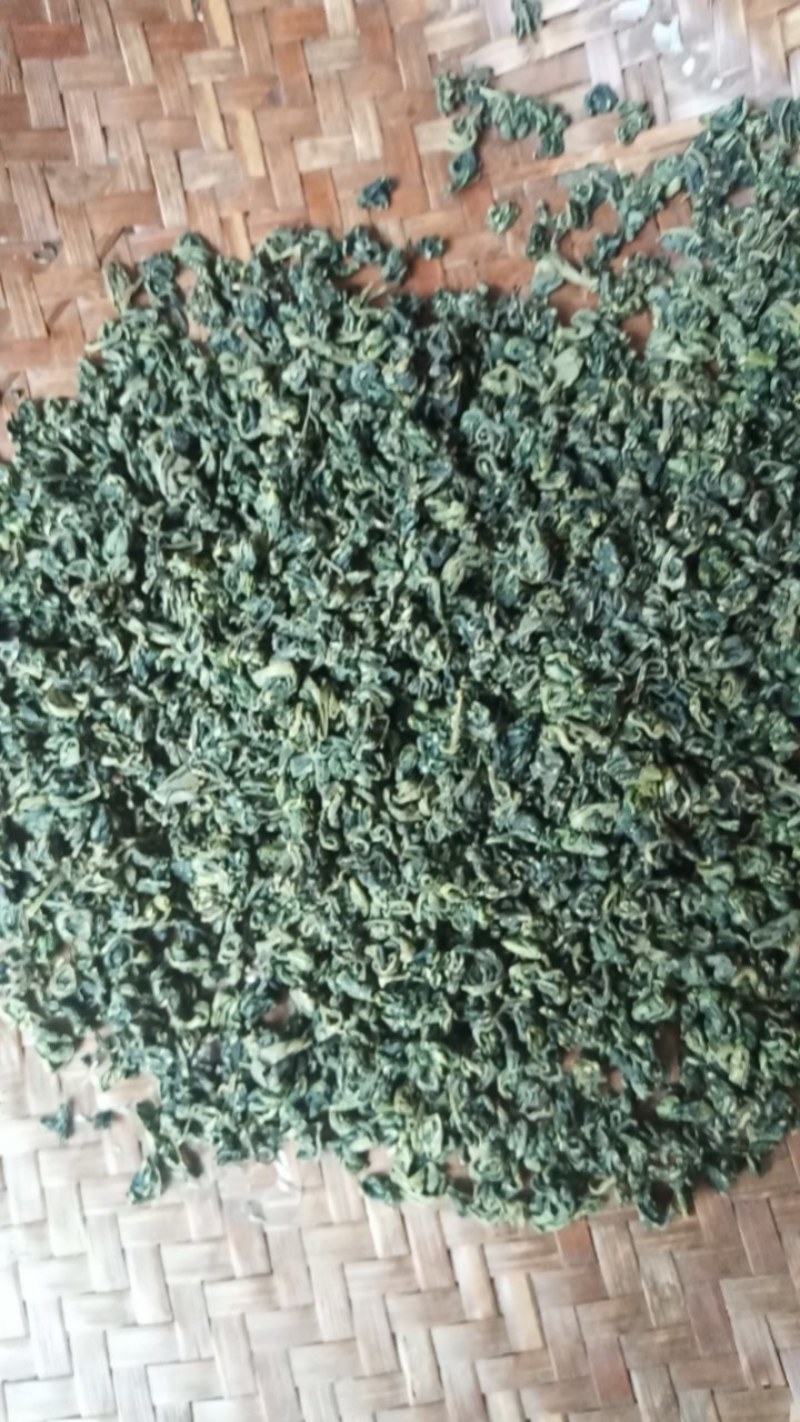 茶叶高山茶叶