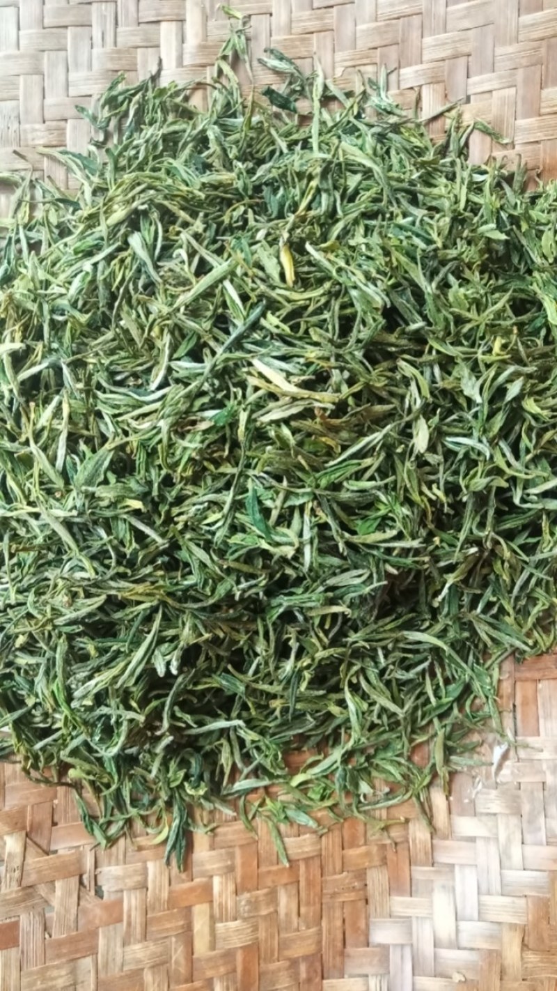 茶叶高山茶叶