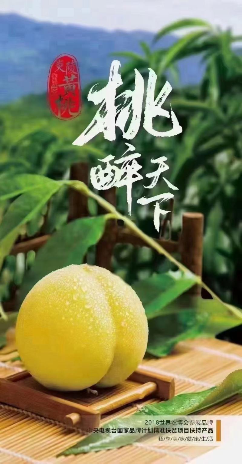 中国黄桃之乡，正宗炎陵高山黄桃，脆口香甜