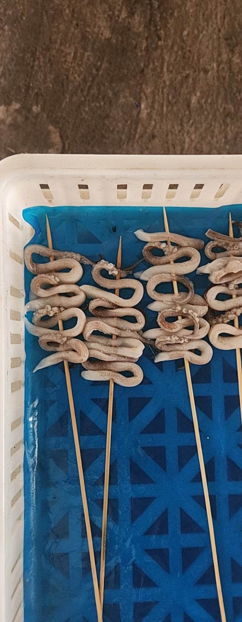 鱿鱼嘴串须串安康肘先生鱼肘红头肘鲅鱼刀鱼各种