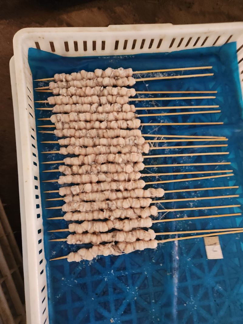 鱿鱼嘴串须串安康肘先生鱼肘红头肘鲅鱼刀鱼各种