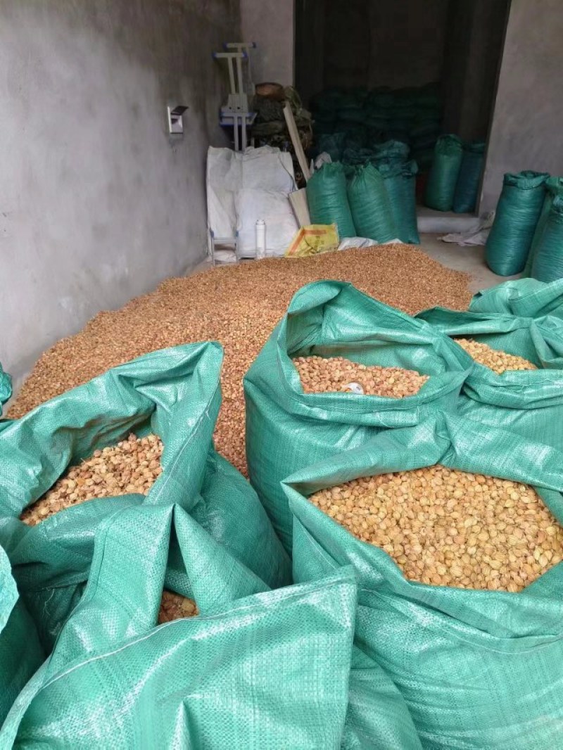 贞丰砂仁，晒干砂仁（出售）