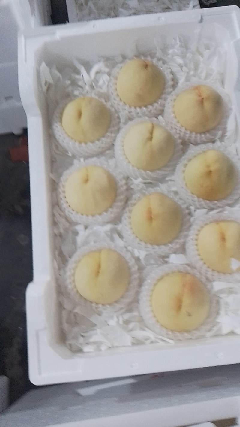 水蜜桃黄桃