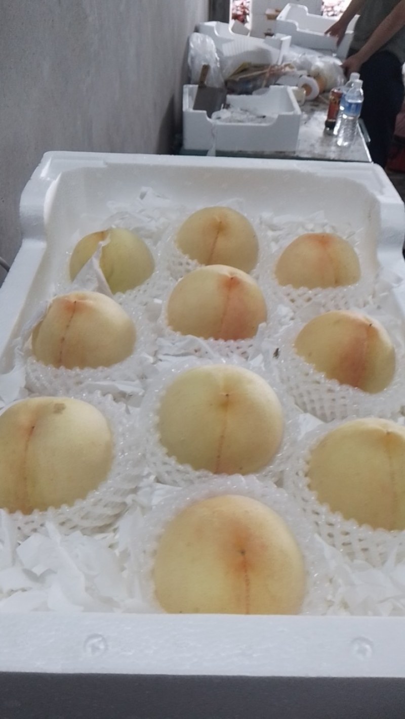 水蜜桃黄桃