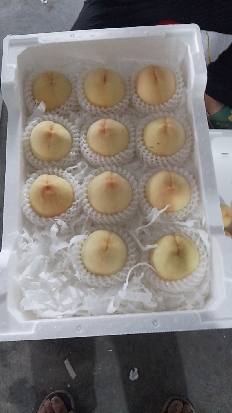 水蜜桃黄桃