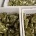 精品咸鸭蛋各种规格货源充足量大从优质量保证欢迎咨询