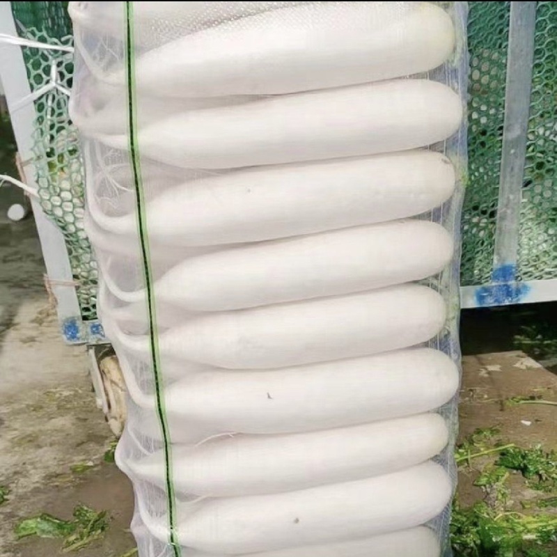 潼南精品长萝卜白萝卜高山萝卜欢迎来电咨询价格随行白玉萝卜