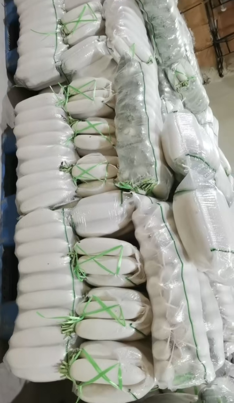 潼南精品长萝卜白萝卜高山萝卜欢迎来电咨询价格随行白玉萝卜