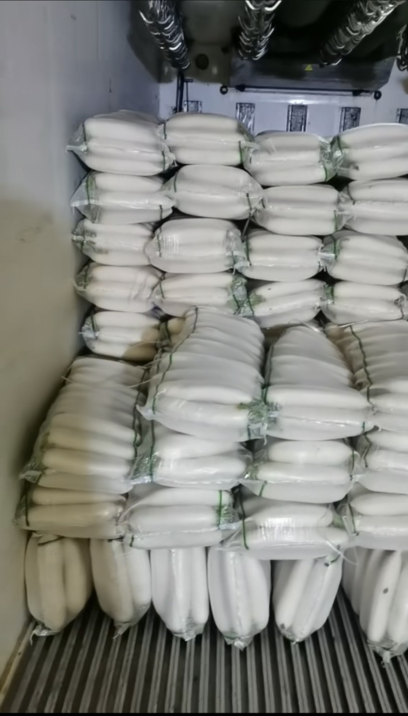 潼南精品长萝卜白萝卜高山萝卜欢迎来电咨询价格随行白玉萝卜