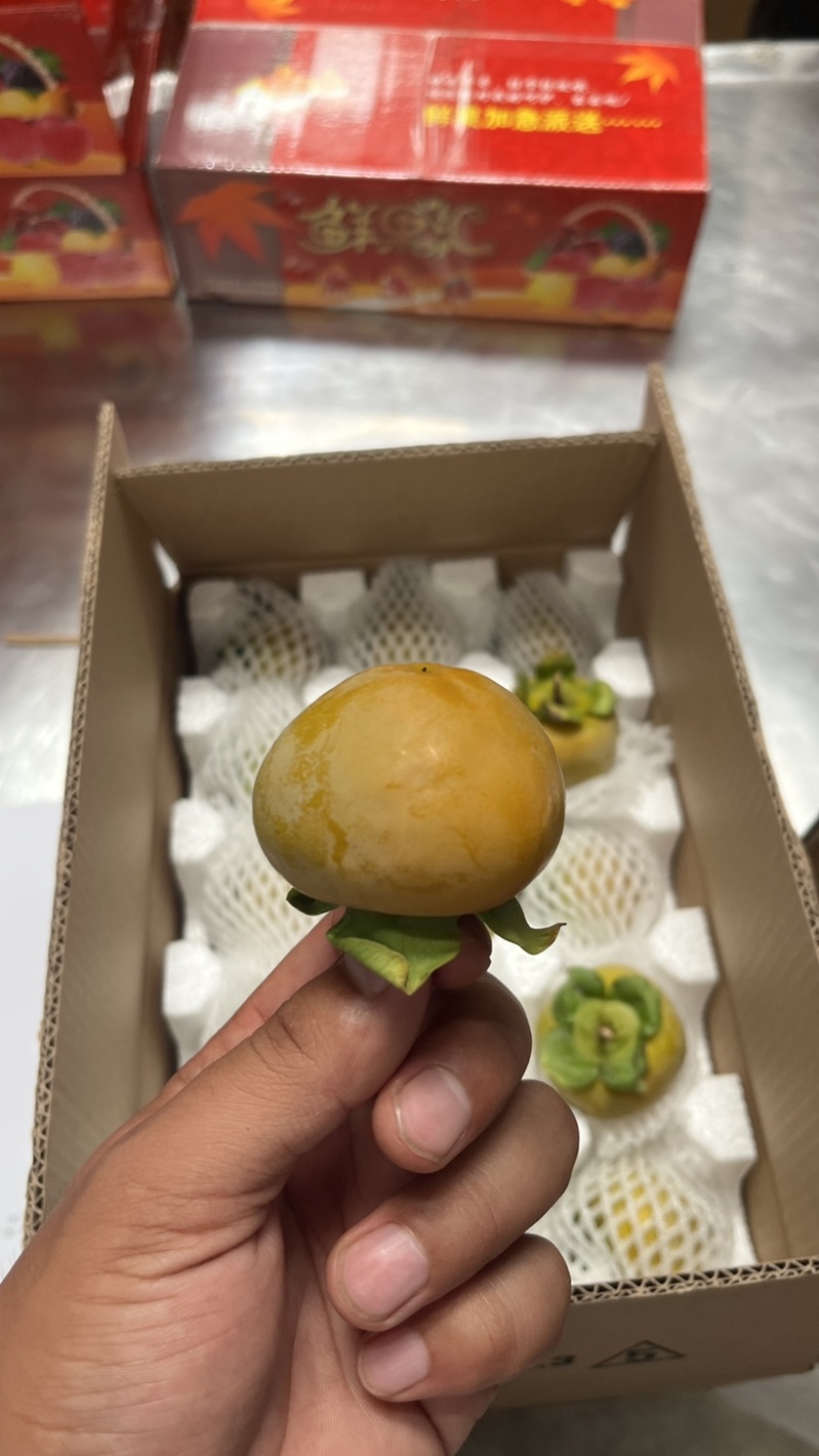 火晶柿子