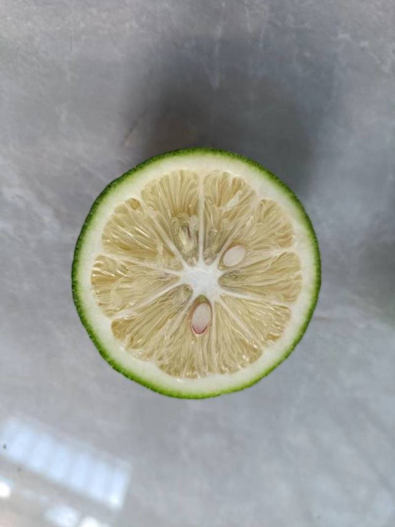 精品万州柠檬现摘现发货源充足，支持一件代发，欢迎咨询