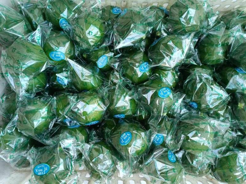 精品万州柠檬现摘现发货源充足，支持一件代发，欢迎咨询