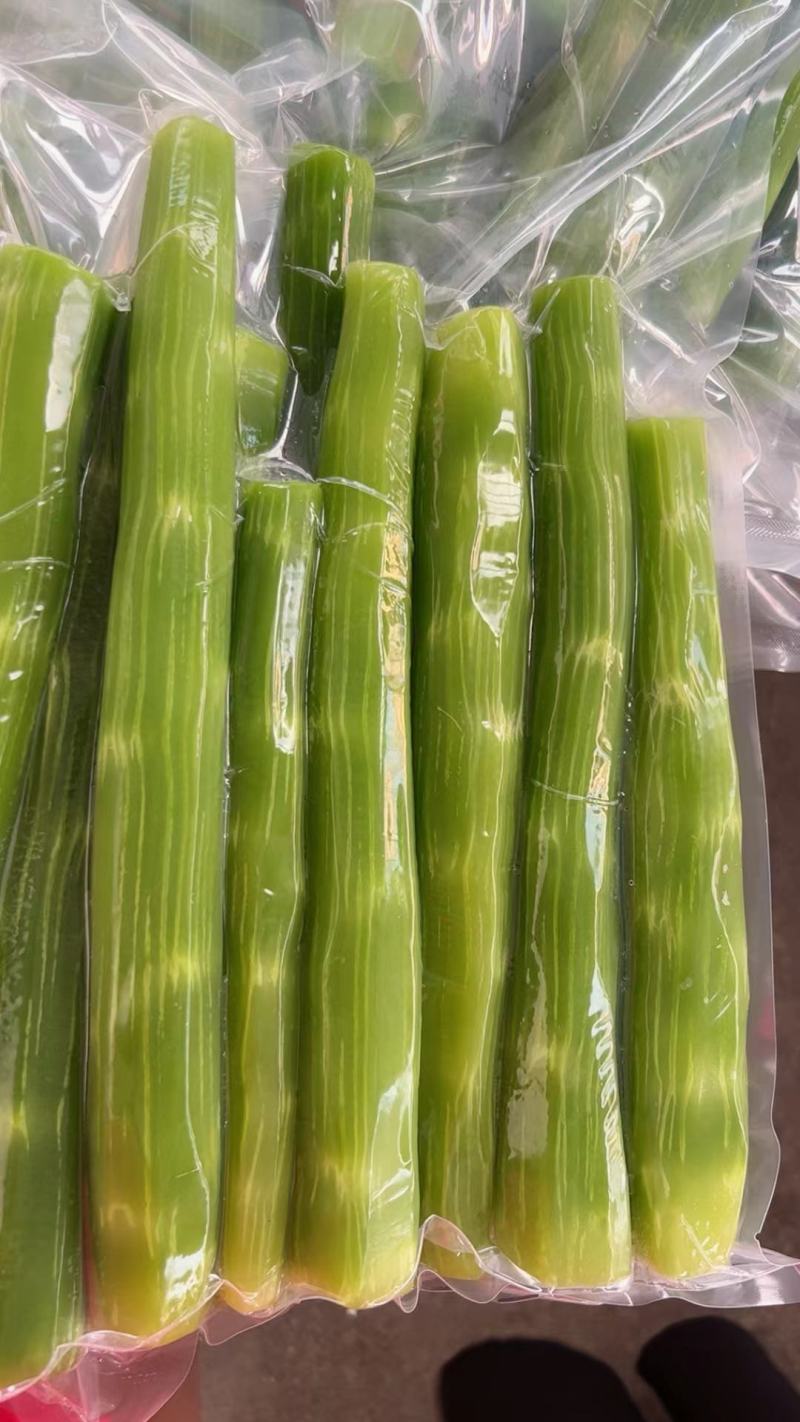 甘孜州阿坝州高原三青莴笋把子.毛叶.杆子。高品质接批发商