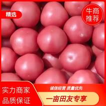 内蒙赤峰宁城县，硬粉西红柿，大量供应，一手货源，弧三以上