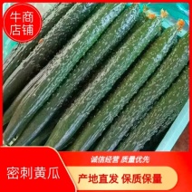 赤峰宁城县密刺黄瓜，条型直，颜色亮，顶花带刺，货源充足