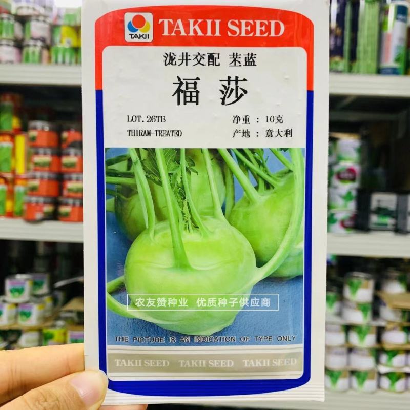泷井交配意大利进口苤蓝种子福莎苤兰种子口感脆甜早熟扁圆型
