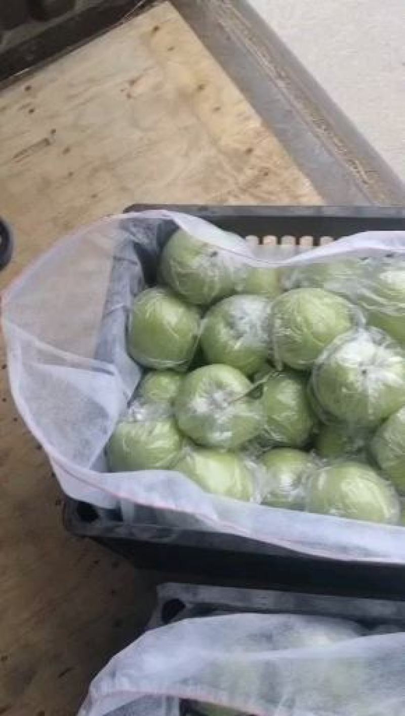 [推荐]山东泰安金帅青苹果上市产地供货直发全国品质保证