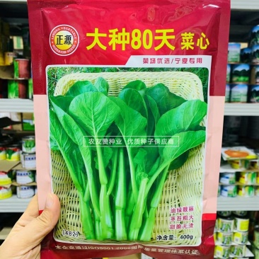 正源大种80天菜心种子油绿甜脆无渣茎苔粗大矮脚菜场优选