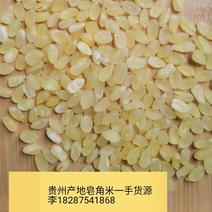 贵州皂角米精选大颗粒单荚无硫雪莲子大量现货产地批发