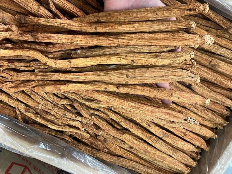 嵿极特大红泥党参