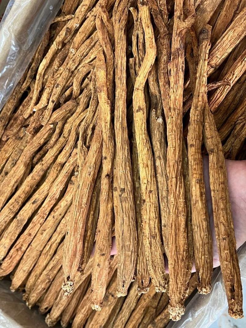 嵿极特大红泥党参