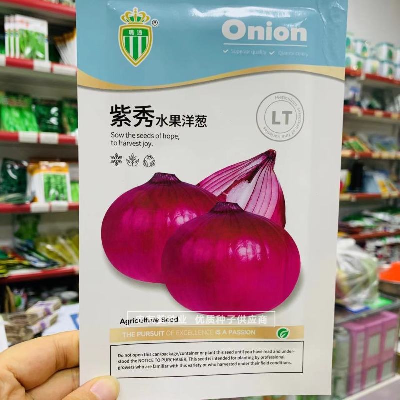 璐通紫秀水果洋葱种子甜脆微辣水分足中熟品种紫色洋葱种籽