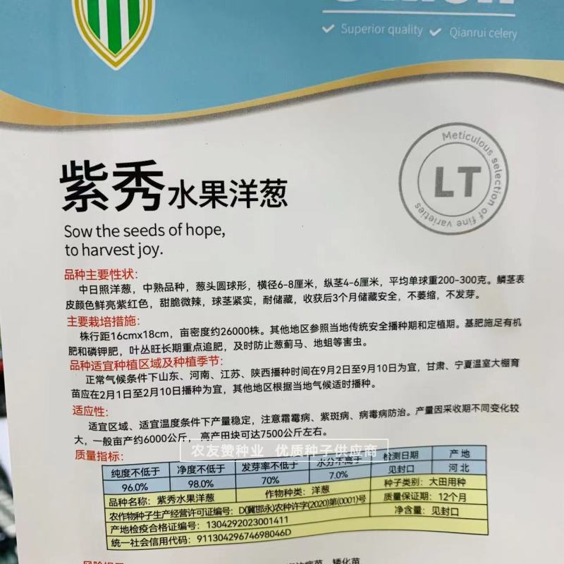 璐通紫秀水果洋葱种子甜脆微辣水分足中熟品种紫色洋葱种籽