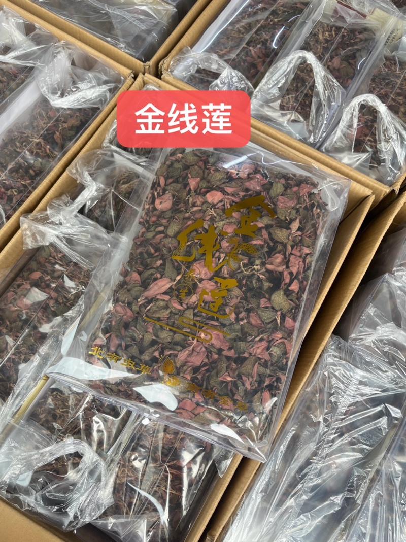 台湾红霞金线莲无碎无杂质不掺根厂家直销
