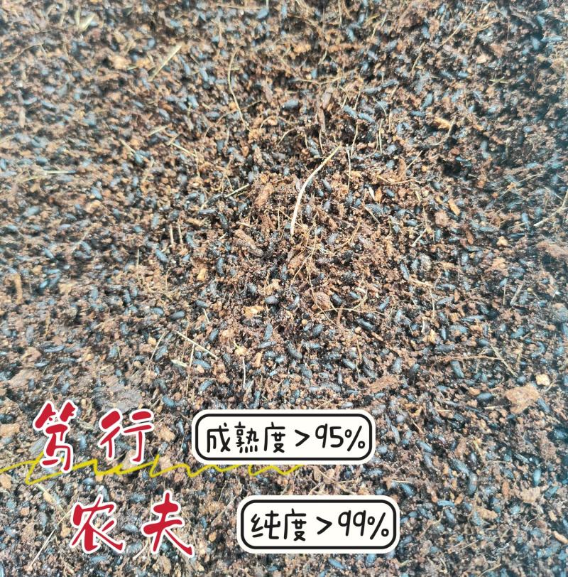 广元柔毛淫羊藿种子种苗，原生品种，数量不多